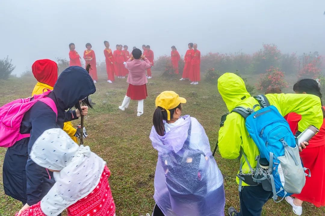 在天露山杜鹃花海丛中劲跳广场舞，这帮广东大妈又火了