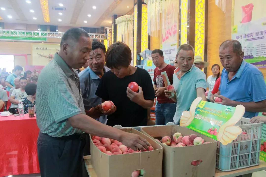 德国康朴诺泰克水溶肥有限公司,康朴诺泰克复合肥效果好吗