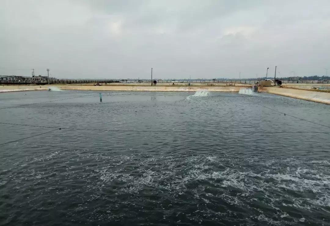 水产养殖水质碱度低怎么办,水产养殖总碱度的标准是多少