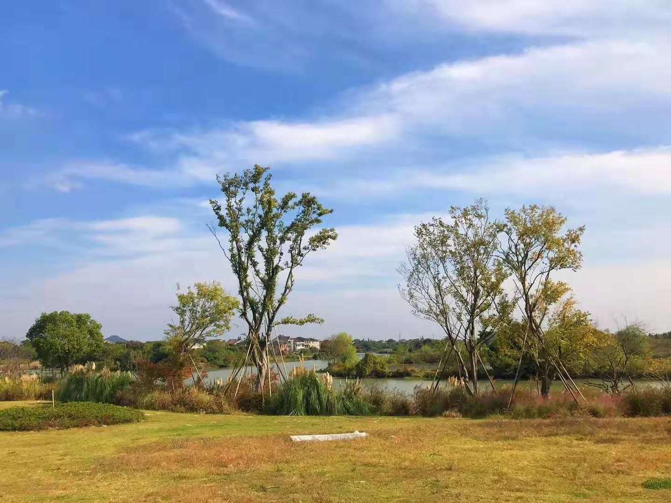 一座白楼，青山环绕，云卷雾舒～享受在莫干山野的娴静自由