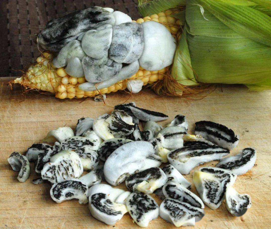 价格堪比黄金的食物,玉米身上的黑松露你知道吗