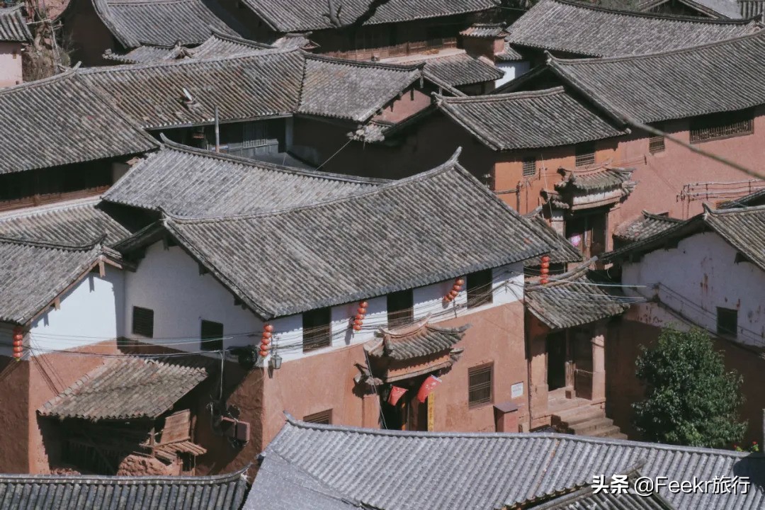 挖到了云南人都点赞的“美食线路”!菌子当道,夏季去度假正好