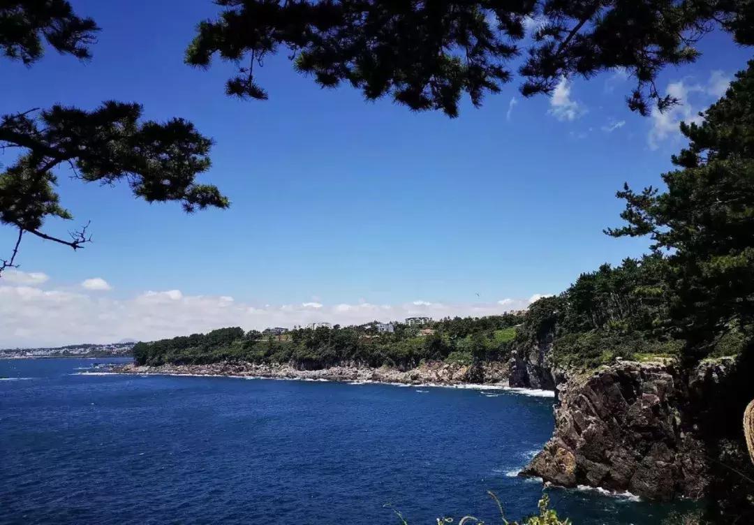 体验师木槿昔年和一群美丽的小姐姐们济州岛之旅