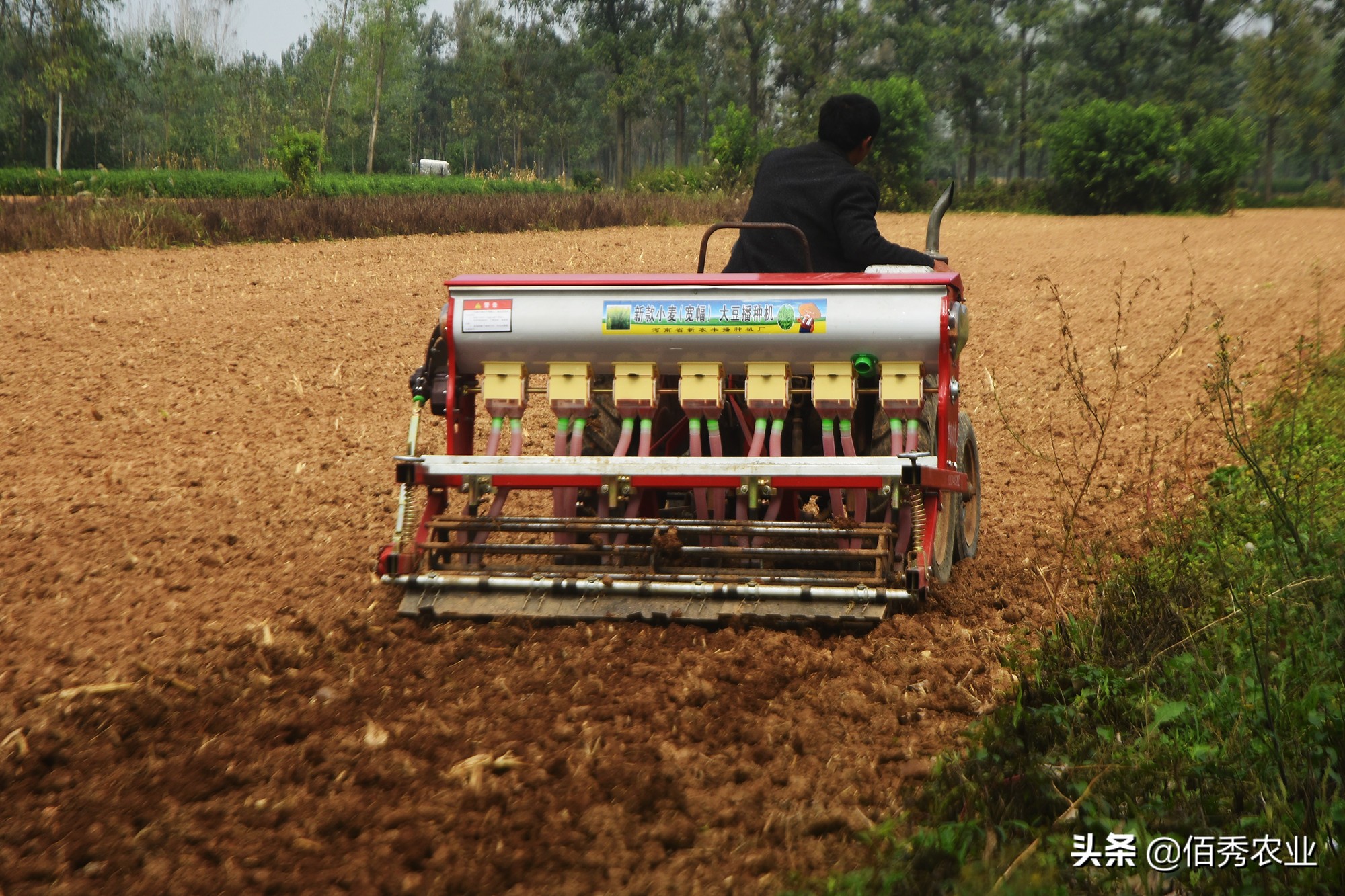 业内人透露小麦种子的“秘密”:改小包装提高价格,反受农民欢迎