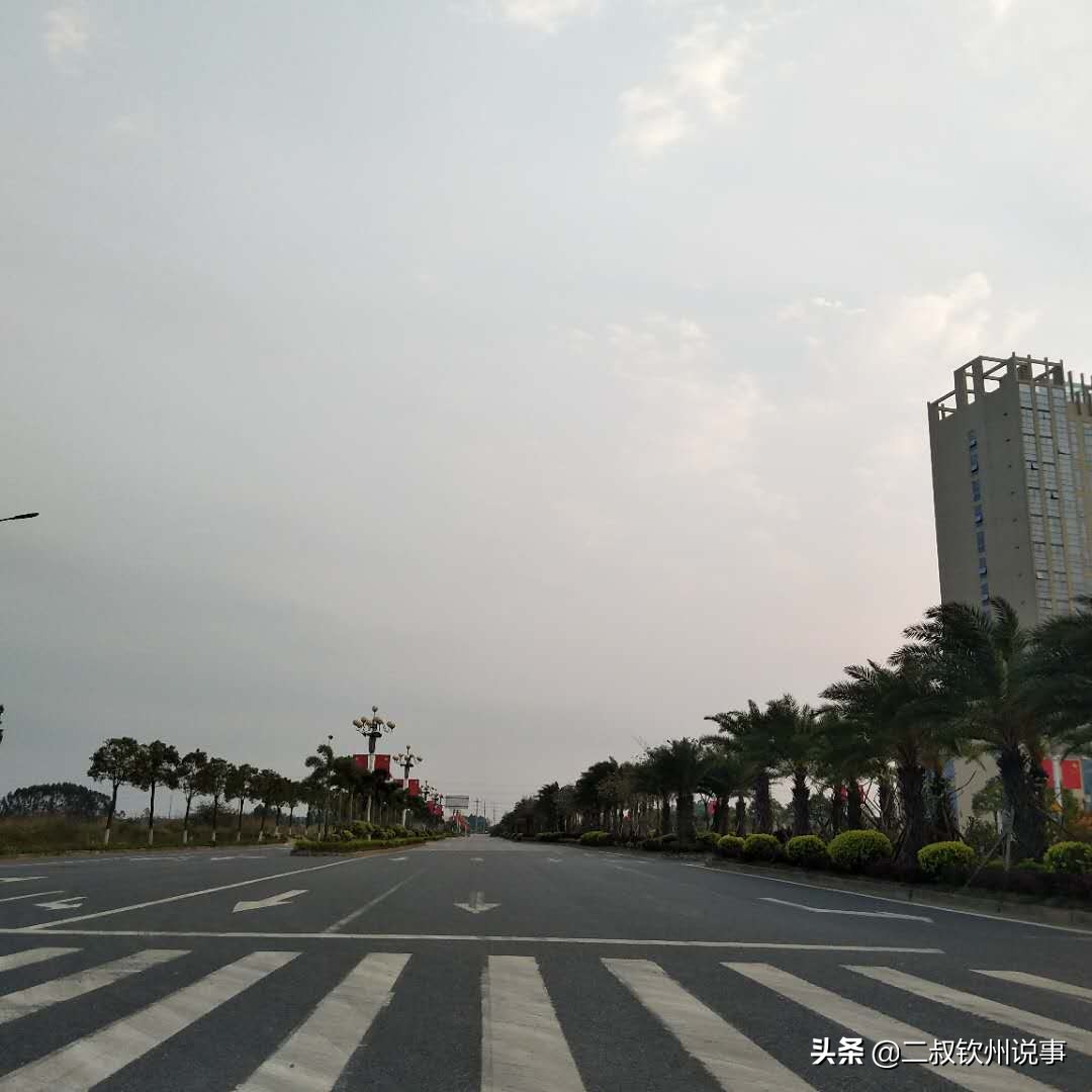 钦州港金鼓新城区规划图,钦州港片区发展前景
