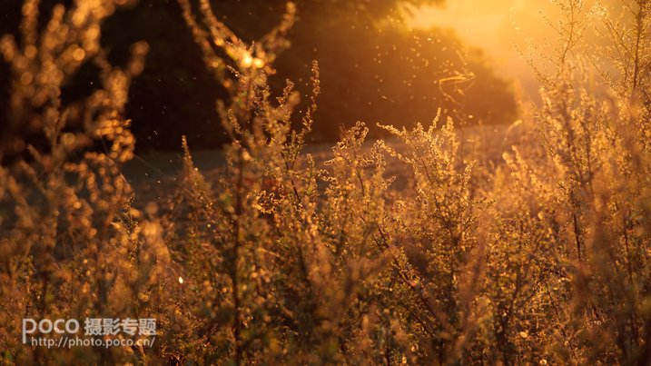 怎么驾驭眩光,有什么办法防眩光