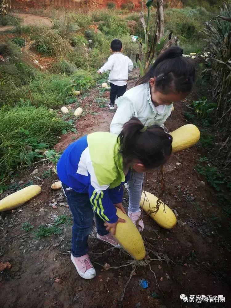 金太阳幼儿园校门,延安市甘泉谢金庄幼儿园
