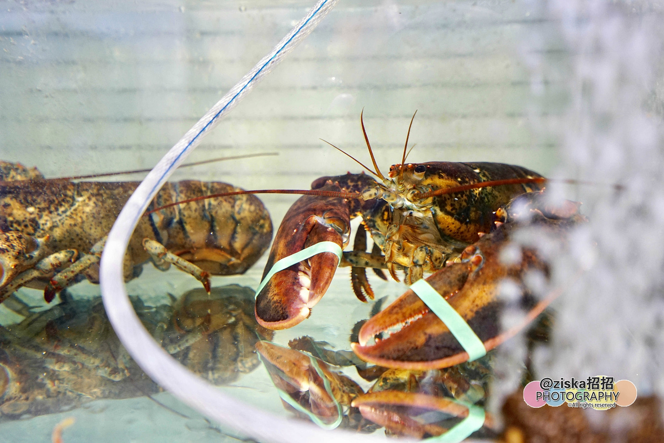 杨紫给李现分享旅游景点,现实生活中李现和杨紫到三亚旅游