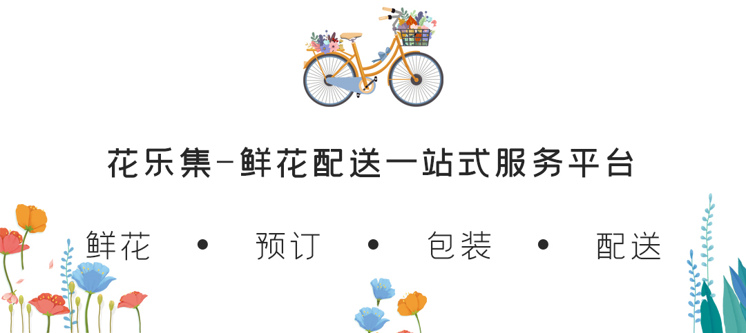 不同种类的玫瑰花如此多,分别表示什么含义?