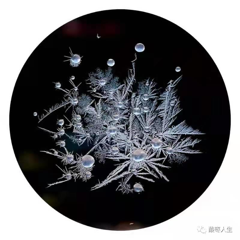 《散文美刊》「霜花中的梦想」|王德明（诵读：丁丁）