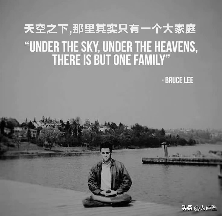 各个巨星评价李小龙,李小龙话题