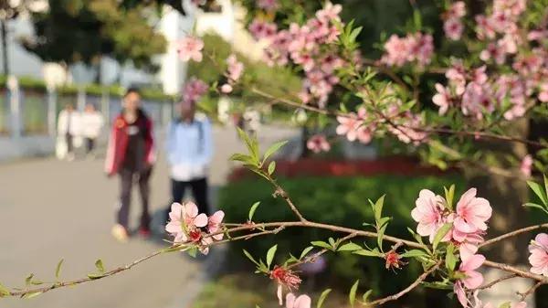 谢谢你,吴江哪个中学好