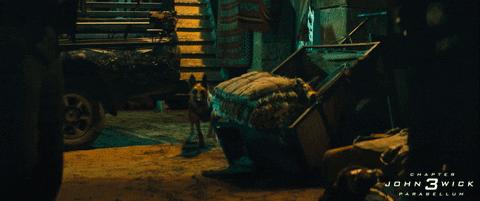 基努里维斯最新视频,基努里维斯年轻时候太帅了