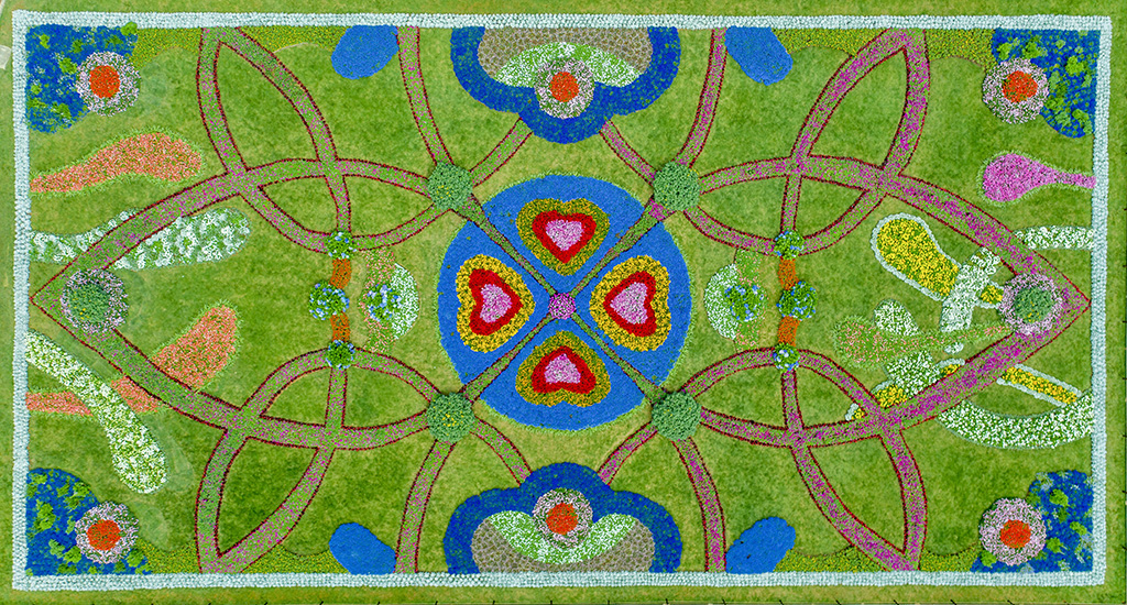 遇见花开深圳,遇见花开鲜花派对