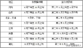 怎样种植大蒜才高产呢,大蒜怎么种种植周期是多长