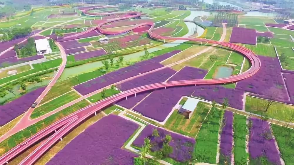 南通赏樱,江苏樱花景区介绍