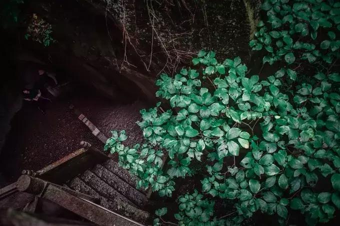 有个美丽地方叫青田,台州市美丽的地方