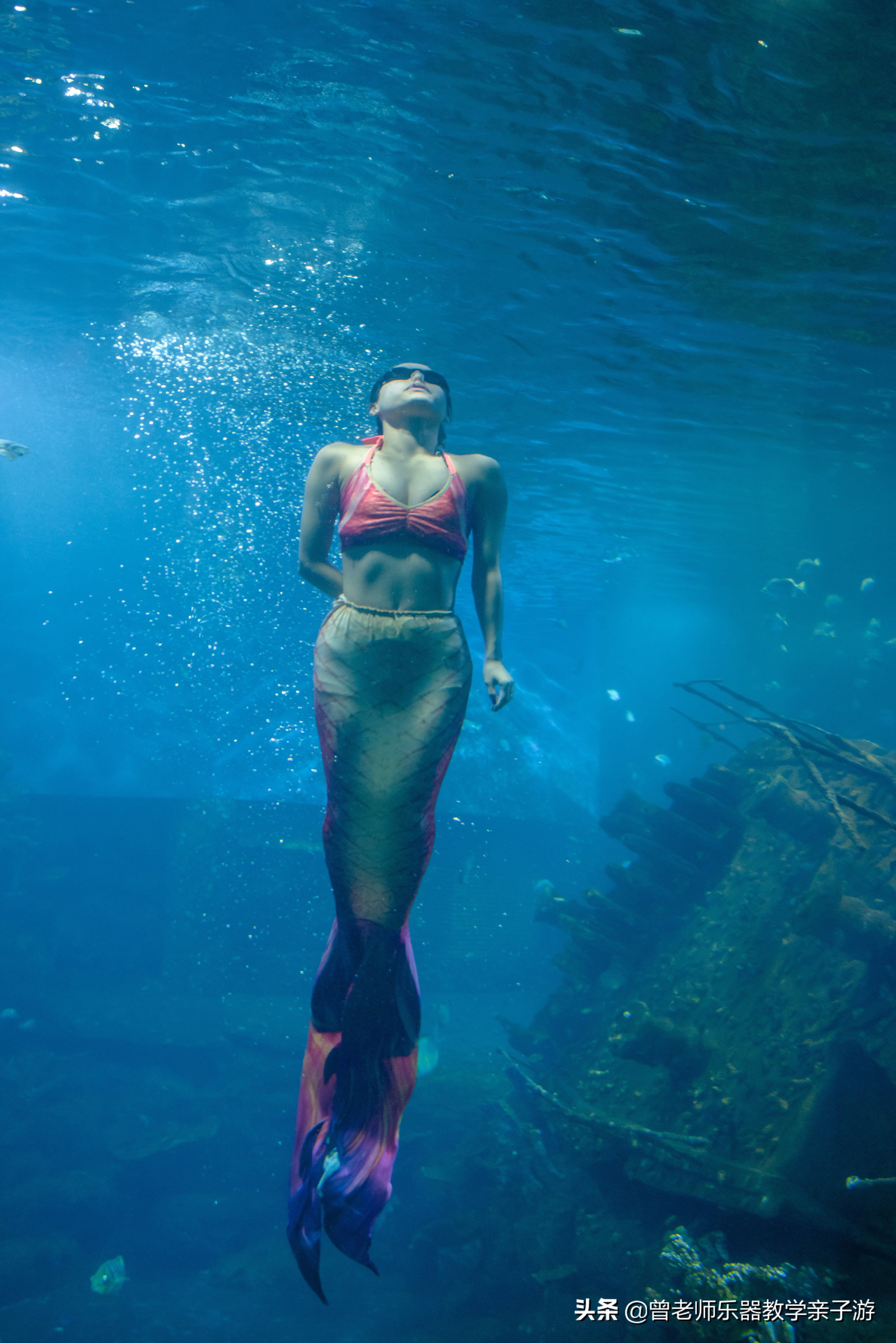 西安太奥海洋馆,西安极地海洋世界海豚表演