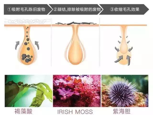 洗脸清洗黑头,洗脸清洁去粉刺