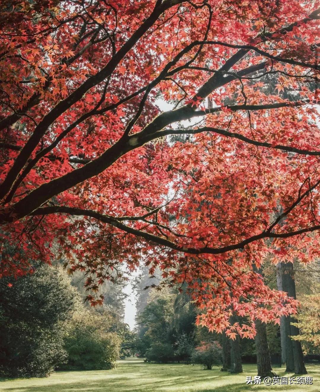 英国秋天好去处,英国秋天旅游必去的地方