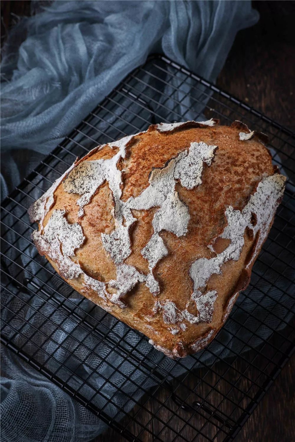 技术进阶+参观魔法森林，每个班长都值得被宠爱