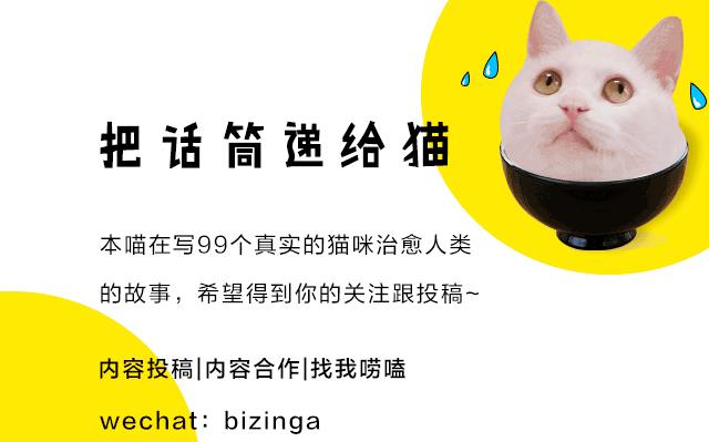 求助！我的猫以为自己是我妈怎么办？