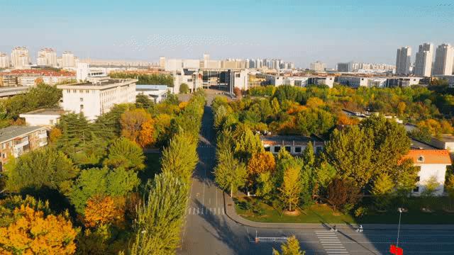 天津普通本科的大学,天津普通高校多少所大学