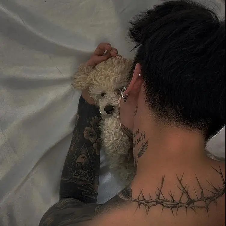 抖音热门头像大全,100张抖音热门头像全部给你找