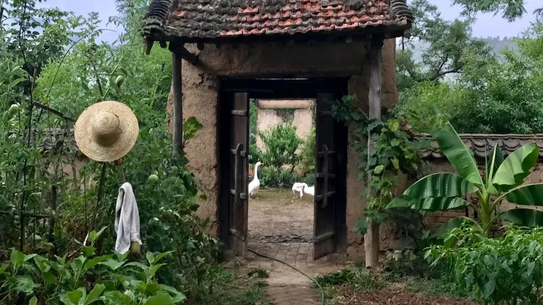 33岁小伙住在山洞四年,33岁的小伙曾在山洞生活了几年