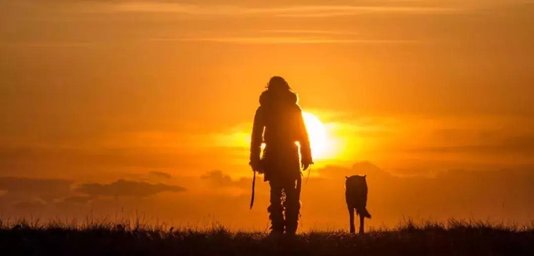 阿尔法｜如果文明是卑躬屈膝，我会让你看到野蛮的骄傲