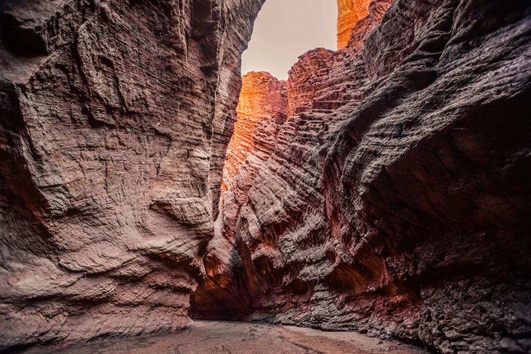 涓嶈兘鍘诲鍦扮殑鐞嗙敱,浜旂浜轰笉鑳藉幓鐤嗗唴鏃呮父