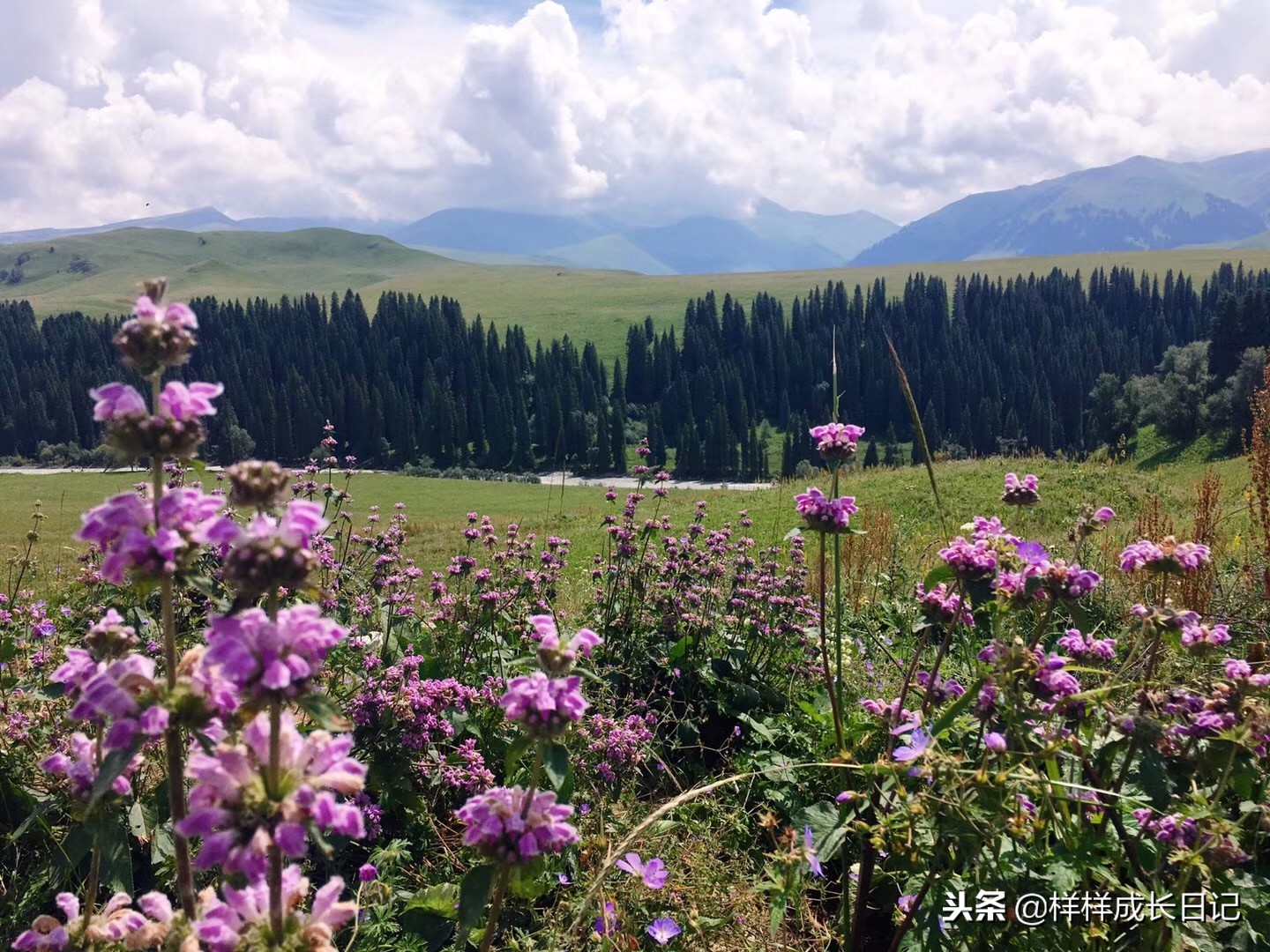 一家三口游北疆攻略,一家三口去北疆旅游大概花多少