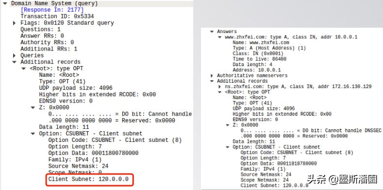 dns全套详细讲解,dns基本原理与操作
