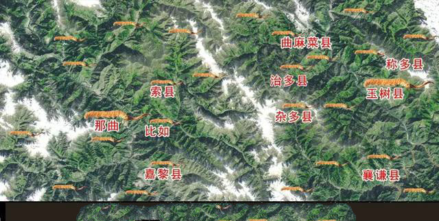 虫草的采挖时间是几个月,带你体验虫草采挖全过程