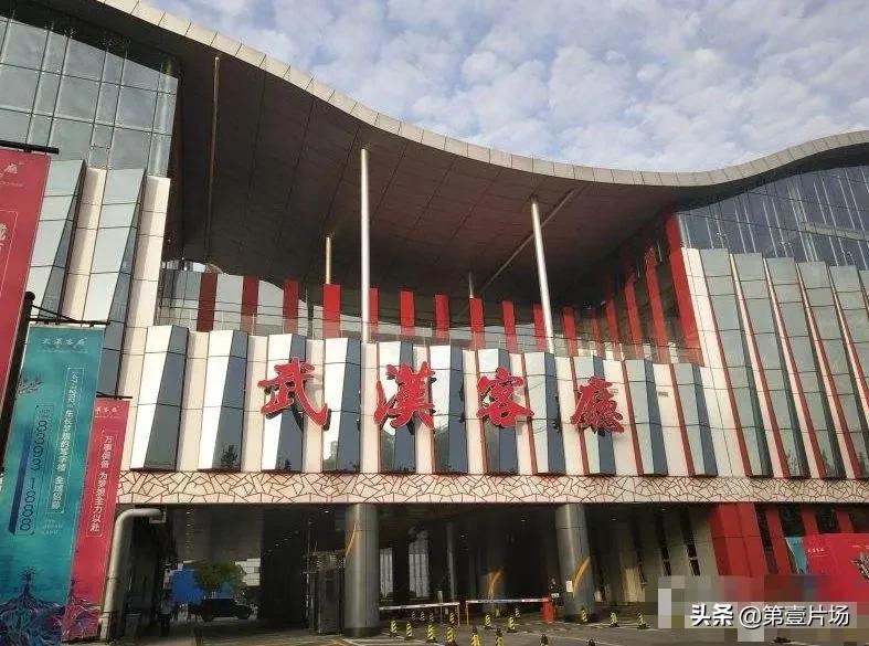 湖北首富前十名分别是哪里人,湖北首富阎志总捐了100亿