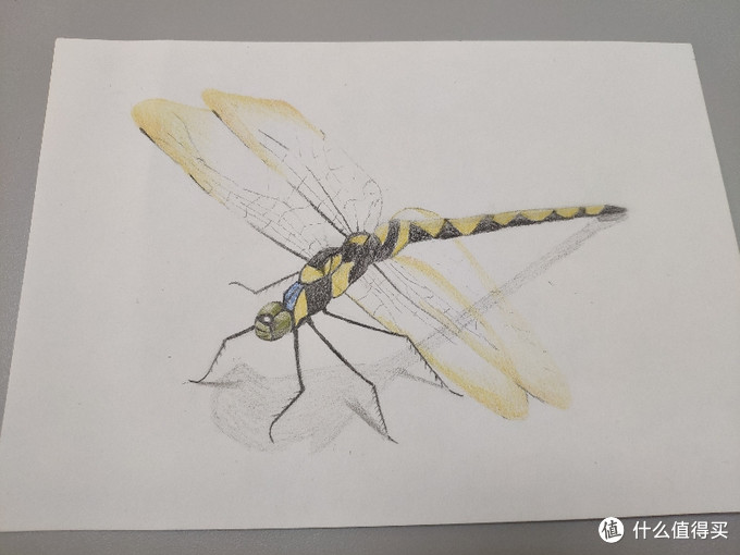 童年画画大全简单漂亮,开启你的艺术之旅图片