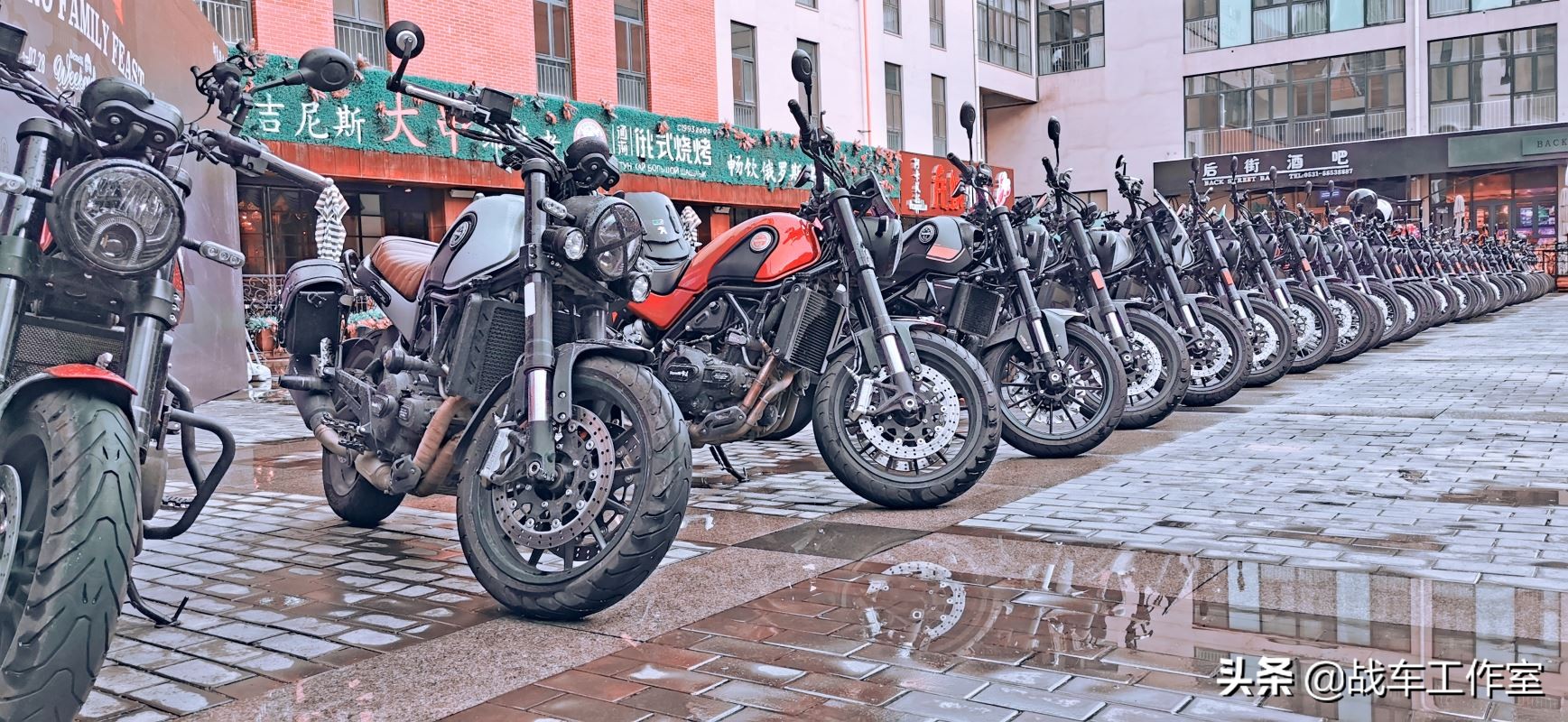 群狮呼啸！车主的节日！---2019幼狮500车主全国聚第一届