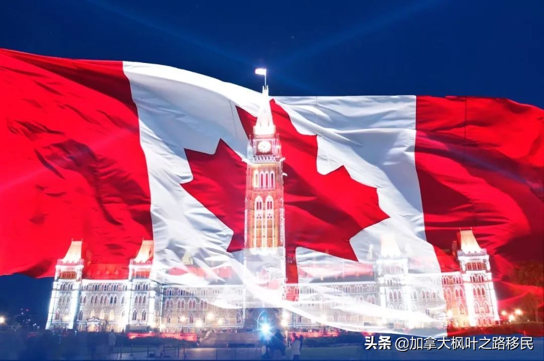 加拿大移民中介费那么贵，可以不找移民中介吗？