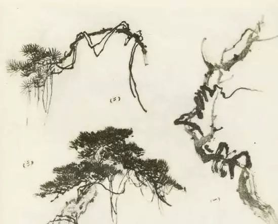 怎样画树画得好看,怎么画树最简单而且还最好看