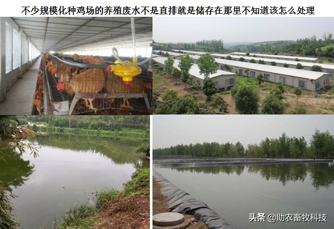 鸡粪有机肥废水处理,鸡粪怎么处理可以达到环保标准