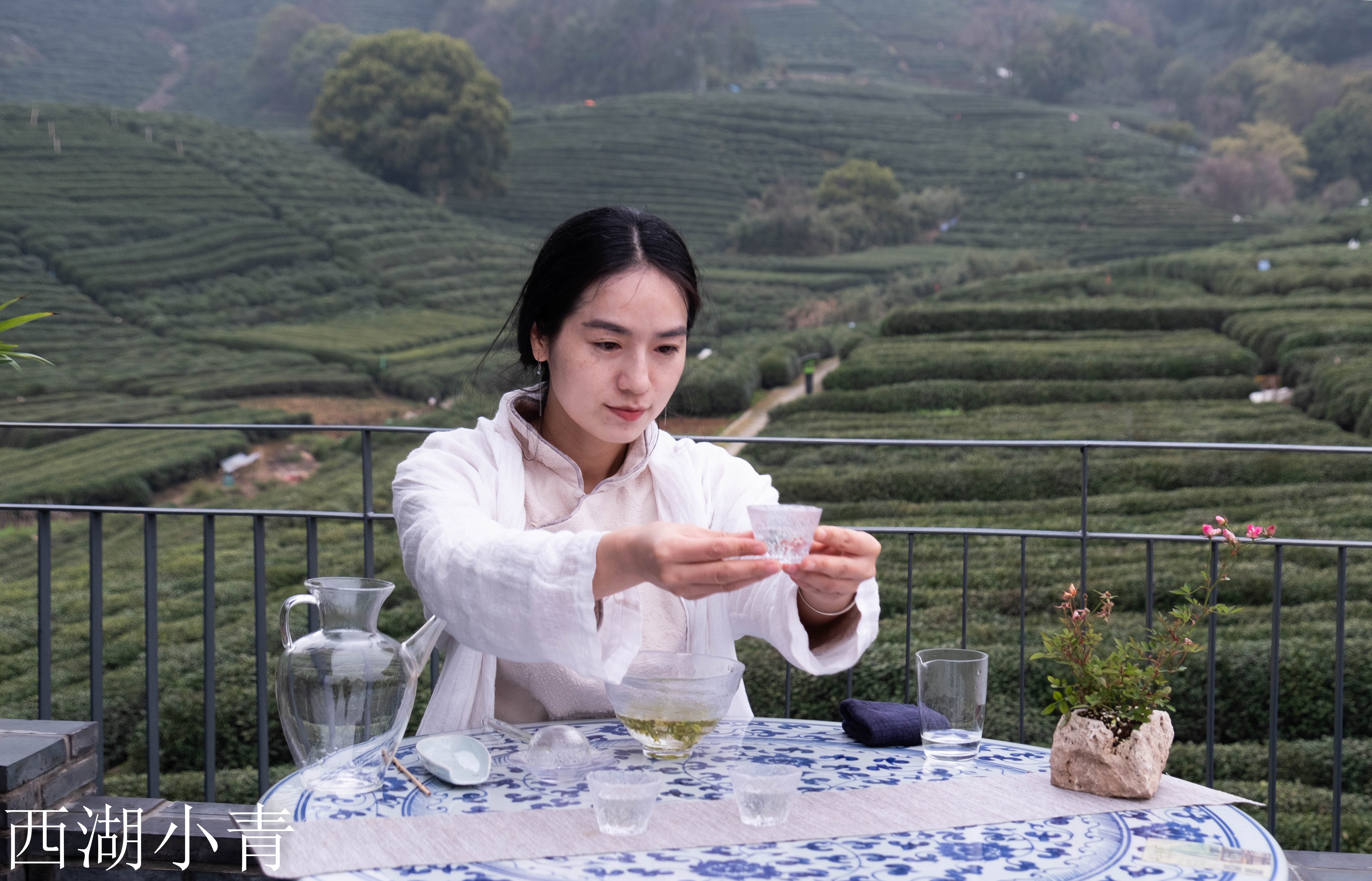 西湖龙井春茶季,龙井茶西湖明前春茶