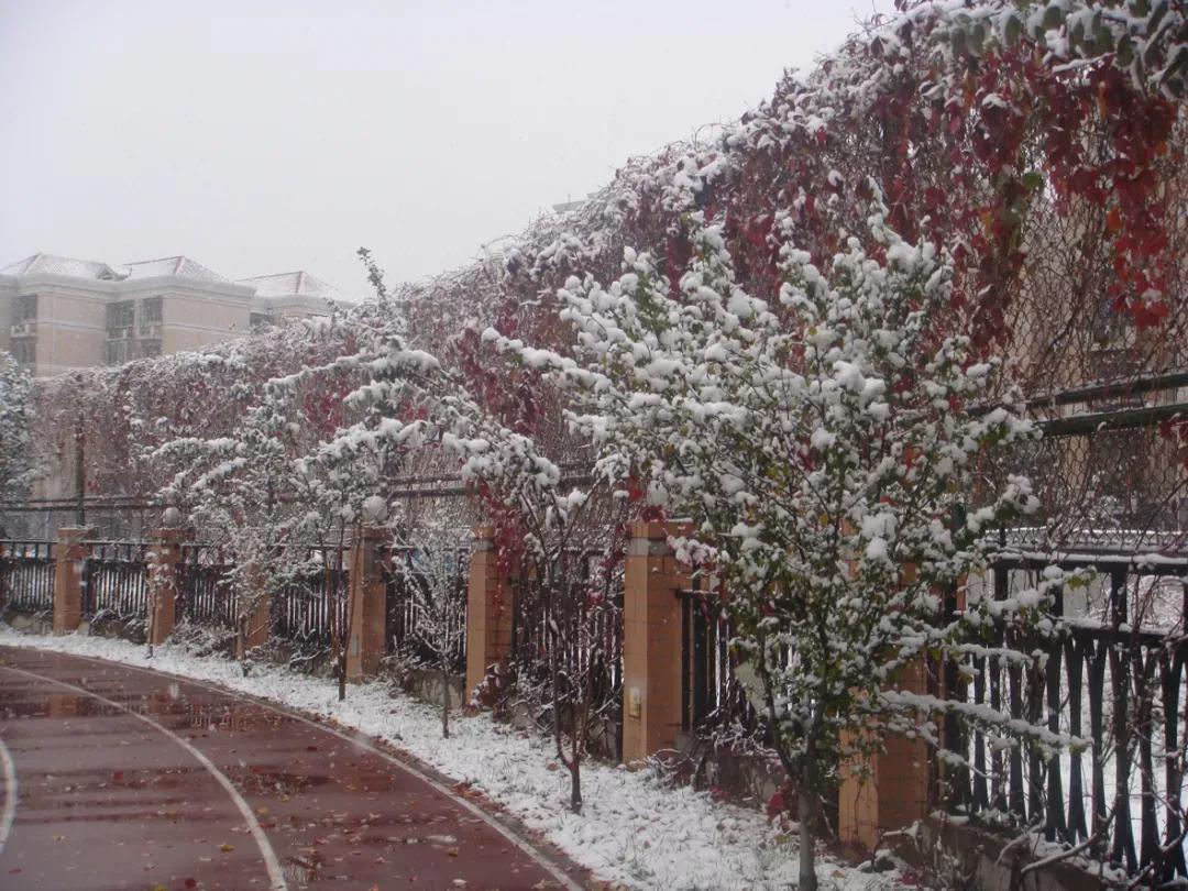 天津市41中学高中好吗,天津市所有普通高级中学排名