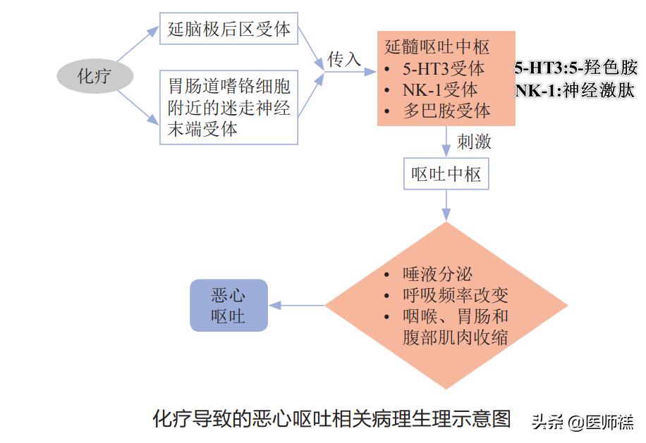 化疗呕吐处方药,化疗药物引起的恶心呕吐的科普