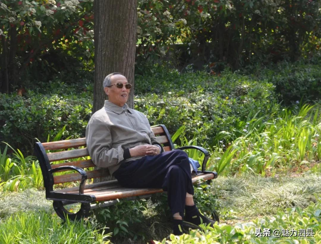 全国文明县城泗县,2024年泗县评上文明城市了吗