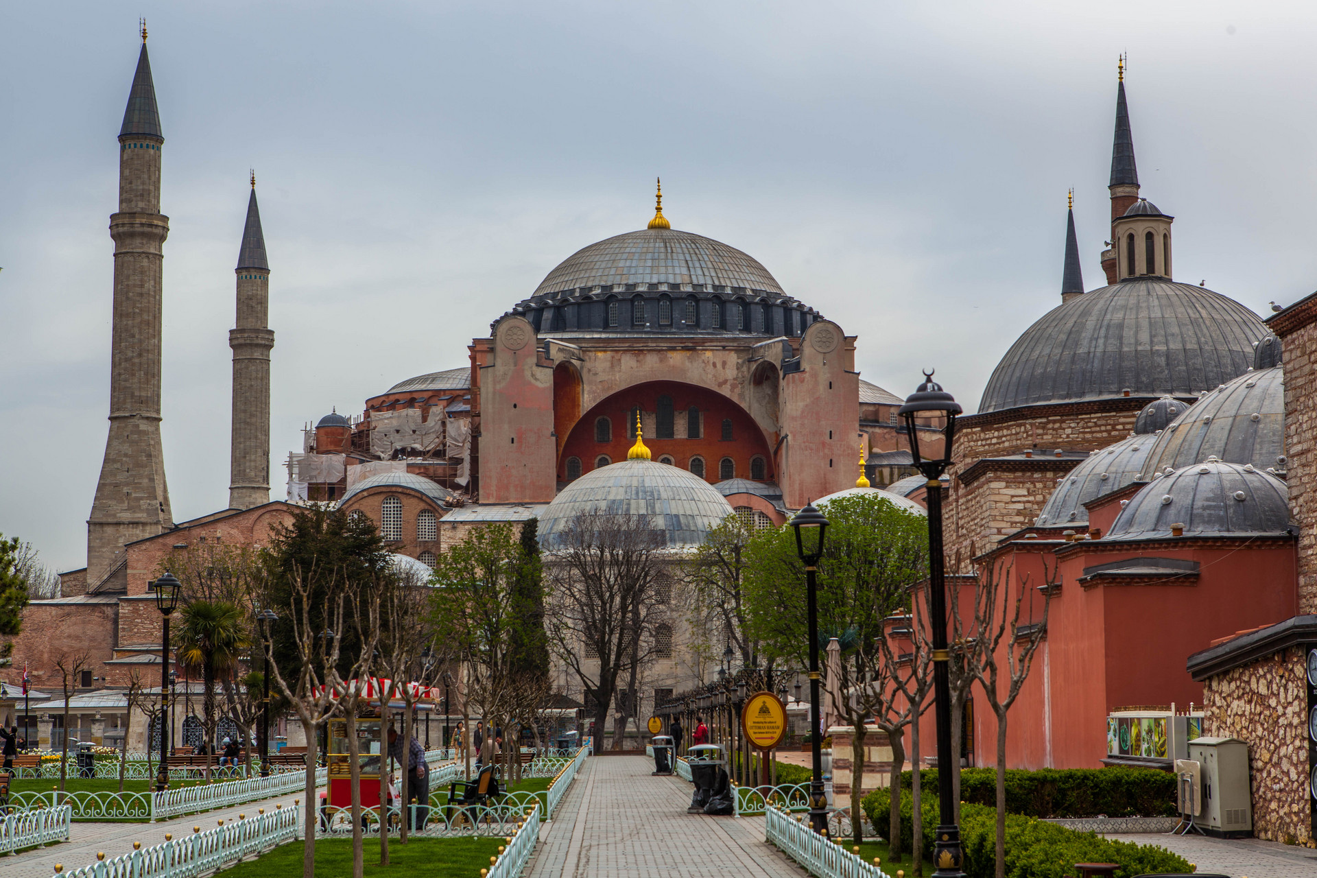 土耳其总和生育率,土耳其总人口数量2021是多少