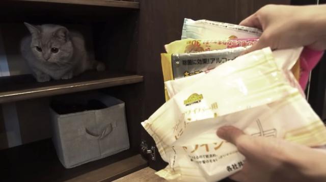 从不爱整理到收纳上瘾,断舍离收纳整理极简生活