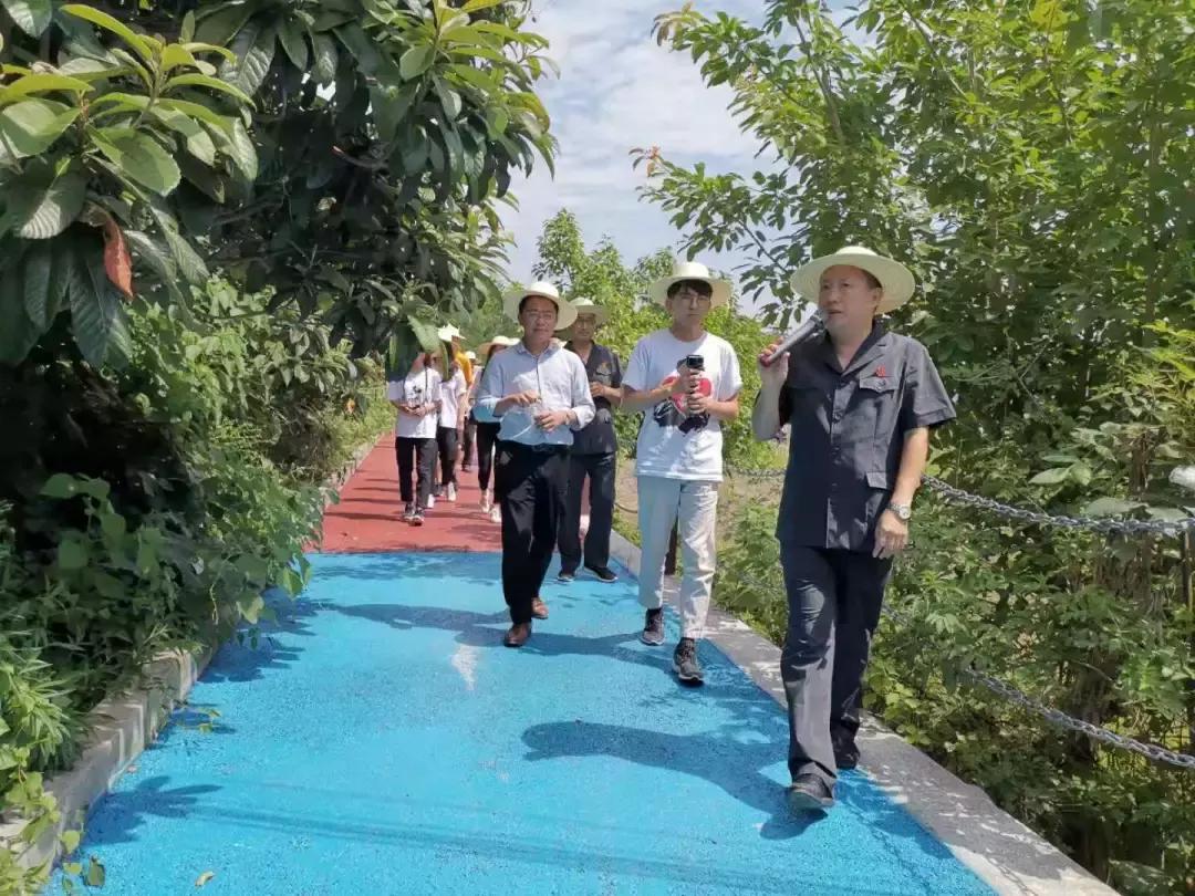 看，这就是大V眼中的中国法院！