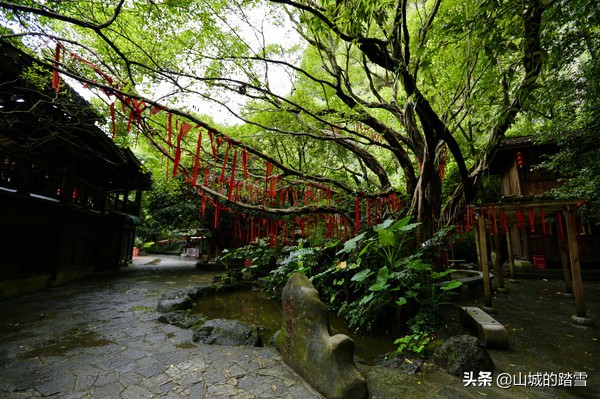 遇龙河乘竹筏漂流，打卡20元人民币取景地，漓江山水画卷尽收眼底