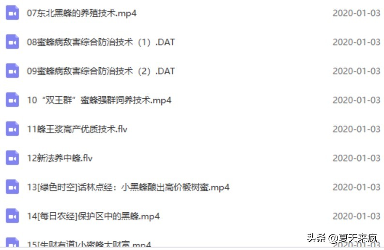 蜜蜂养殖技术养蜜蜂视频技术资料