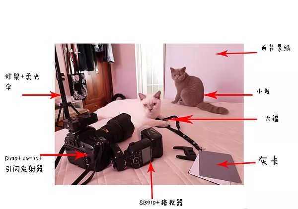 拍摄证件照怎么布光,证件照后期拍摄方法